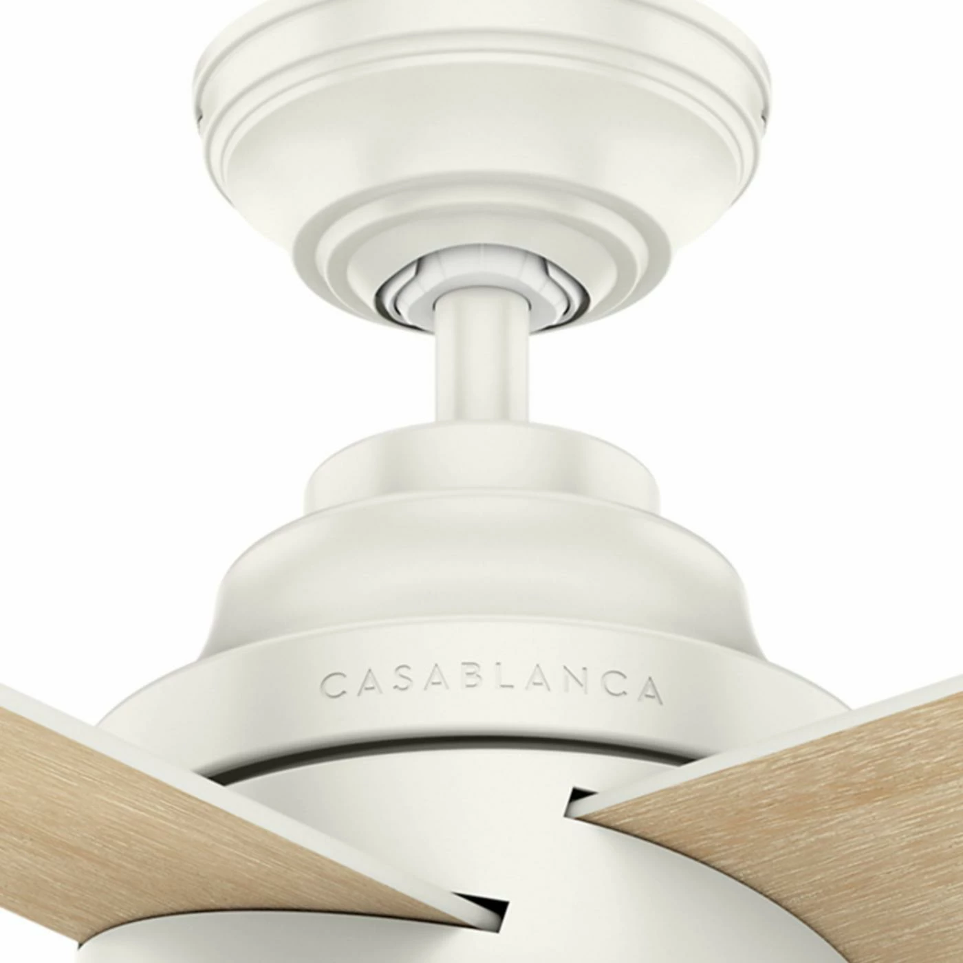 Cheapest 🤩 Wall Control Casablanca Fan Company Daphne 54 In. Ceiling Fan ✨ 8 Cheapest 🤩 Wall Control Casablanca Fan Company Daphne 54 In. Ceiling Fan ✨ - Image 8