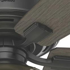 Outlet 🌟 With Remote Hunter Bennett 52 In. Indoor Ceiling Fan With Globe Light Kit 😀 -Kichler Shop detail6HNT360