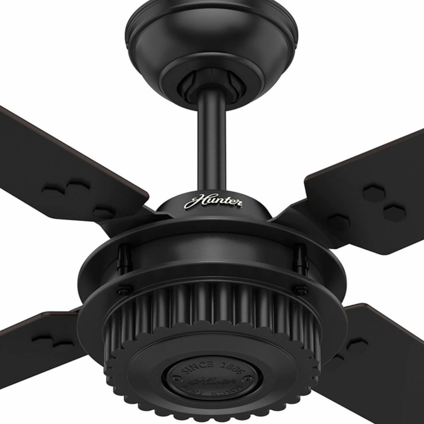 Discount π Hunter Chronicle 54 In. Indoor/Outdoor Ceiling Fan With Wall Control π 3 Discount π Hunter Chronicle 54 In. Indoor/Outdoor Ceiling Fan With Wall Control π - Image 3
