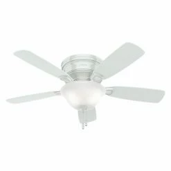 Brand new 😀 Hunter Low Profile 48 In. Indoor Ceiling Fan - White ⭐