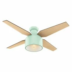 Brand new 👏 With Remote Hunter Cranbrook 52 In. Low Profile Indoor Ceiling Fan With Light And Remote 🧨