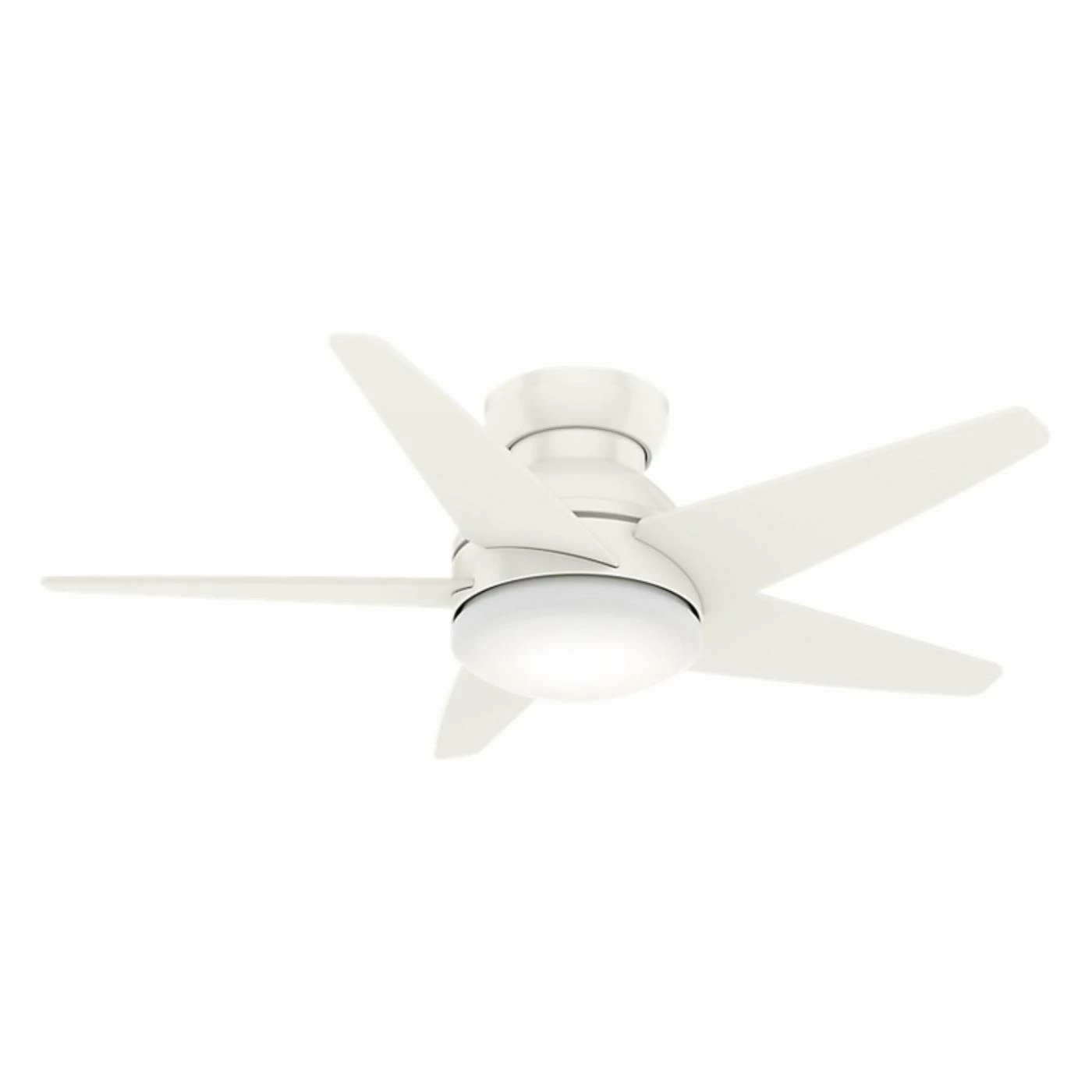 Outlet ๐ Wall Control Casablanca Fan Company Isotope 44 In. Indoor Ceiling Fan โญ 1 Outlet ๐ Wall Control Casablanca Fan Company Isotope 44 In. Indoor Ceiling Fan โญ