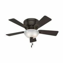 Top 10 🤩 29 - 43 In. Hunter 42 In. Haskell Reversible Blade Indoor Ceiling Fan With Light 😍